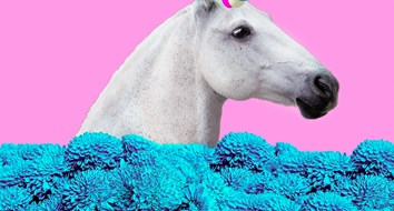 How Should We Think About Public Policy Proposals? Government-By-Unicorn