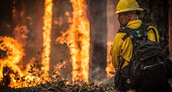 Why There Are So Many Wildfires in California, but Few in the Southeastern United States