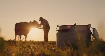 The Dark Truth about America’s Agricultural System