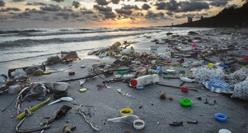 Cómo fracasó el programa de reciclaje en los Estados Unidos y cómo le hizo daño al medio ambiente